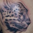 Tatuaje en la espalda,
cabeza de guepardo divino de perfil