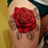 Great lush red rose tattoo on leg