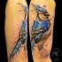 Tatuaje en el brazo,
 pájaro azul alucinante