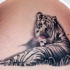 Hausgemachter Stil farbiges Brust Tattoo mit weißem Tiger
