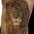 Tatuaje en el costado,
cara de león pelirrojo orgulloso