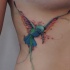 Tatuaggio colorato sul fianco l'uccello