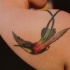 Tatuaje en el hombro, colibrí vuela