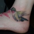 Tatuaggio colorato sul piede l'uccello colibrì