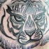 Tatuagem de retrato de tigre de tinta preta estilo ilustrativo