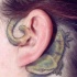 Illustrativer Stil hinter dem Ohr farbiges Tattoo mit kleiner Eidechse