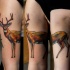 Illustrative style colored biceps tattoo of deer