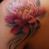 Illustrative style colored lotus flower tattoo on shoulder