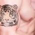 Estilo ilustrativo tatuaje de bíceps lindo de tigre blanco con ojos verdes