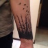 Tatuaje en el antebrazo,
bosque seco oscuro y aves