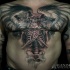 Impressive black and white large chest and belly tattoo of woman skeleton with wings