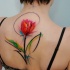 Beeindruckendes Design rote Tulpe Blume gefärbtes Tattoo am Rücken im Aquarell Stil