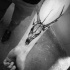 Tatuaje en el antebrazo,
 diseño de cráneo de ciervo magnífico