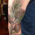 Incredibly realistic pine tree branch with cones colored tattoo on arm