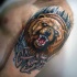 Tatuaje en el brazo, oso pardo furioso en el bosque