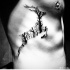 particolare interessante tema bianco e nero foreste a forma cervo tatuaggio su costolette