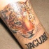 Tatuaje en el brazo, jaguar majestuoso con letrero