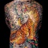 Japanischer Stil Tiger in japanische Kirschblüte Tattoo am ganzen Rücken