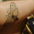 Tatuaje  de polilla graciosa en el antebrazo