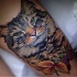 Tatuagem de gato grande de cor bonita olhando realista com folhas e bagas