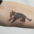 Tatuagem pintada muito bonita realista de gato realista
