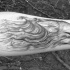Tatuaje del antebrazo de la tinta negra del estilo de Linework de la cabeza malvada del zorro con las ondas