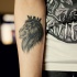 Tatuaje en el antebrazo,
león rey en corona