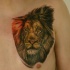 Tatuaje en el pecho, trozo de dibujo de león