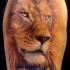 Tatuaggio colorato sul deltoide il leone con la serratura sul collo
