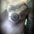 Tatuaje en el pecho,  mapa viejo con compás náutico