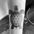 Pequeño tatuaje la tortuga en negro con las figuras geométricas