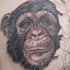 Tatuaje  de cabeza de chimpancé lindo