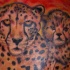 bellissimo leopardo famiglia tatuaggio