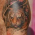 bellissimo piccolo tigre tatuaggio sulla spalla