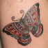 bellissima farfalla tradizionale tatuaggio su gamba