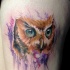 bel'acquarello gufo tatuaggio