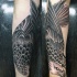 magnifico nero e bianco aquila tatuaggio su braccio