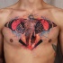 Marvelous colored chest tattoo of elephant with butterfly with mystic eye