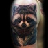 Marvelous colored shoulder tattoo of raccoon with shirt
