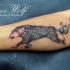 Medium size colored wolf tattoo on leg stylized with Polynesian ornaments