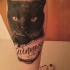 Memorial para gato de meninas com tatuagem de letras na perna