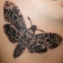 Natural looking black ink butterfly tattoo with skull