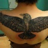 Tatuaje en la espalda alta,  cuervo sencillo con alas extendidas