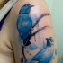 New school style colored shoulder tattoo of blue birds
