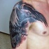 New school style colored shoulder tattoo of flying crow