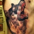 Neue Schule Stil farbiges Seite Tattoo mit coolem Wolf