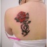Tatuaje de rosa roja  sola en el hombro
