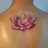 bello fiore loto rosa tatuaggio sulla schiena