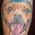 Tatuaggio realistico la faccia del pitbull