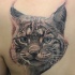 bel ritratto unico di lince tatuaggio sulla scapola